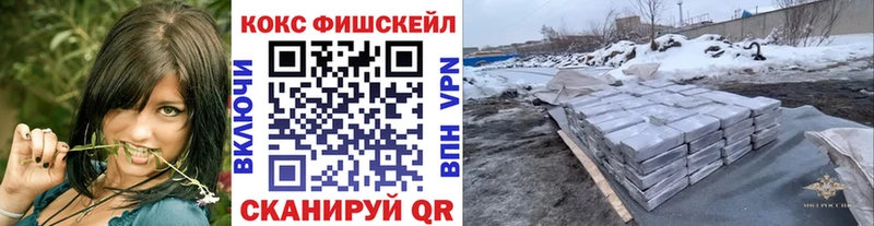 мега   где купить наркоту  Новозыбков  КОКАИН FishScale 