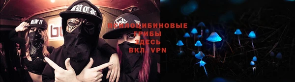 круглые Алексеевка