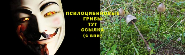 герыч Переславль-Залесский