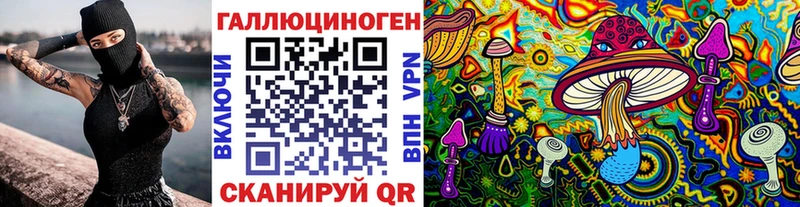 наркота  Новозыбков  Псилоцибиновые грибы прущие грибы 