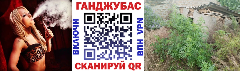 Конопля ГИДРОПОН  Новозыбков 